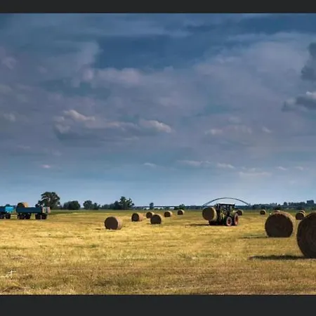 Apartment Gnaden- Und Saale Wittgenstein In The Middle Of Gar Nix *