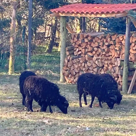 Gnaden- Und Saale Wittgenstein In The Middle Of Gar Nix Apartment