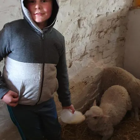 Apartment Gnaden- Und Saale Wittgenstein In The Middle Of Gar Nix Bismark