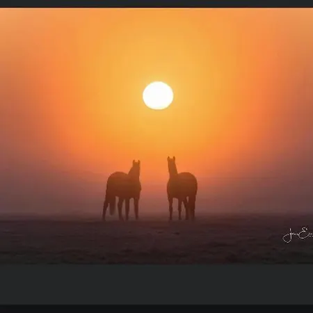 Gnaden- Und Saale Wittgenstein In The Middle Of Gar Nix Apartment *