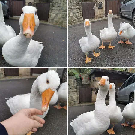 Gnaden- Und Saale Wittgenstein In The Middle Of Gar Nix *