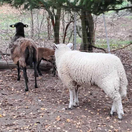 Gnaden- Und Saale Wittgenstein In The Middle Of Gar Nix Bismark