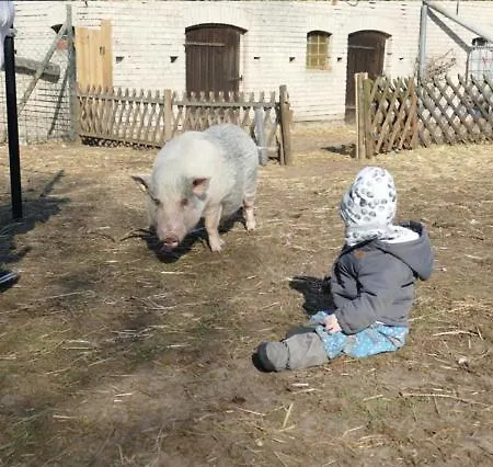 Gnaden- Und Saale Wittgenstein In The Middle Of Gar Nix * Bismark