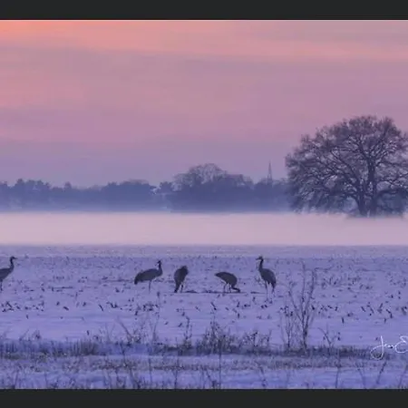 Appartement Gnaden- Und Saale Wittgenstein In The Middle Of Gar Nix Bismark