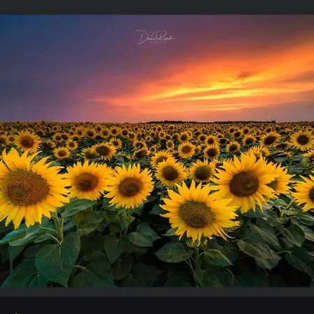 Gnaden- Und Saale Wittgenstein In The Middle Of Gar Nix Bismark