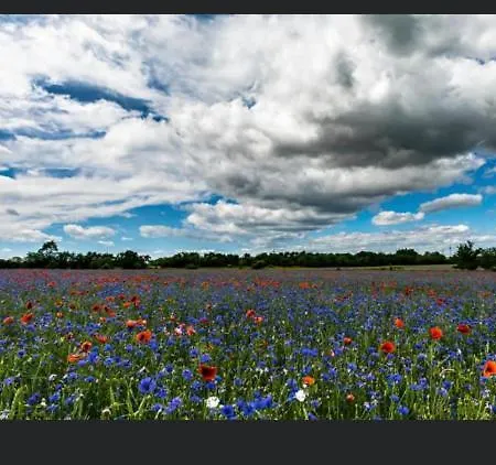 Gnaden- Und Saale Wittgenstein In The Middle Of Gar Nix Bismark