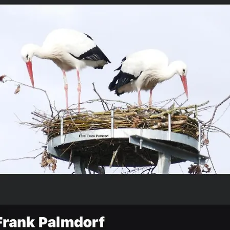 Gnaden- Und Saale Wittgenstein In The Middle Of Gar Nix Apartment