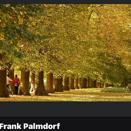 Gnaden- Und Saale Wittgenstein In The Middle Of Gar Nix Bismark