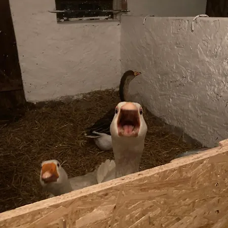 Gnaden- Und Saale Wittgenstein In The Middle Of Gar Nix Bismark