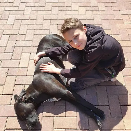 Apartment Gnaden- Und Saale Wittgenstein In The Middle Of Gar Nix *