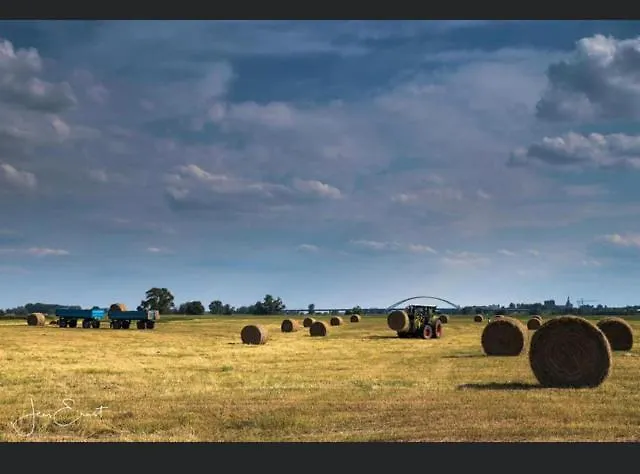 Apartamento Gnaden- Und Saale Wittgenstein In The Middle Of Gar Nix *