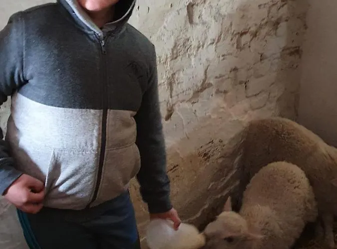 Apartamento Gnaden- Und Saale Wittgenstein In The Middle Of Gar Nix Bismark