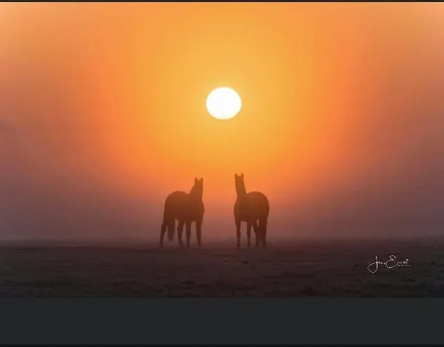 Gnaden- Und Saale Wittgenstein In The Middle Of Gar Nix Apartamento *