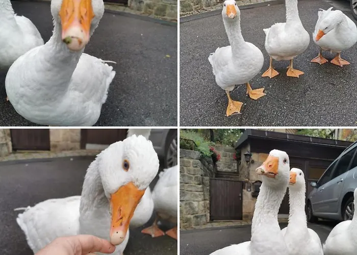 Gnaden- Und Saale Wittgenstein In The Middle Of Gar Nix *