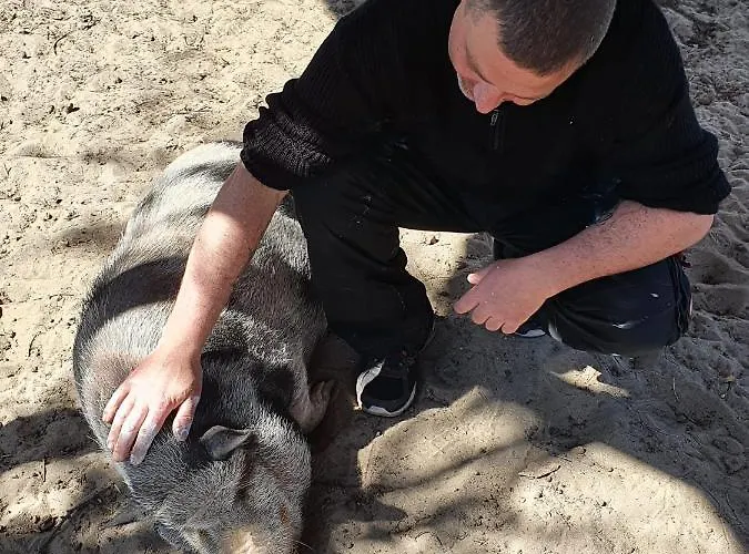 Gnaden- Und Saale Wittgenstein In The Middle Of Gar Nix