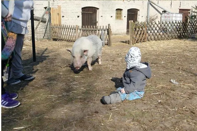 Gnaden- Und Saale Wittgenstein In The Middle Of Gar Nix * Bismark