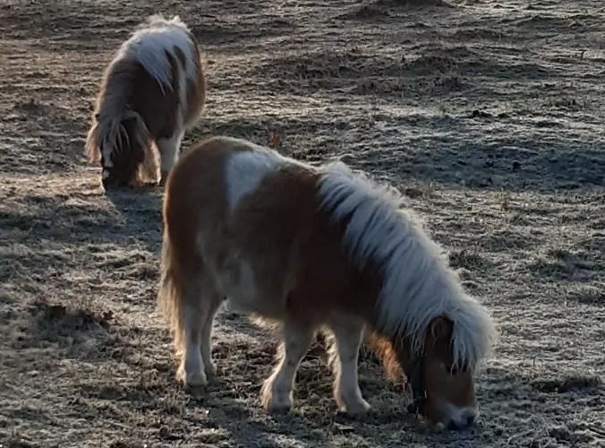 Gnaden- Und Saale Wittgenstein In The Middle Of Gar Nix *