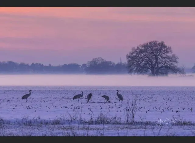 Apartamento Gnaden- Und Saale Wittgenstein In The Middle Of Gar Nix Bismark