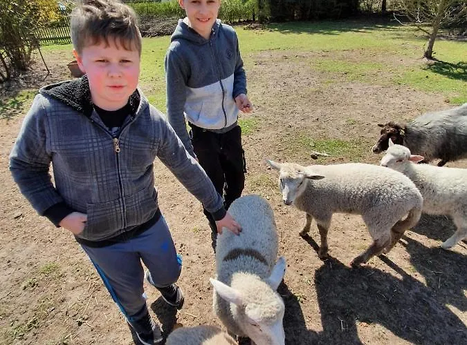 Gnaden- Und Saale Wittgenstein In The Middle Of Gar Nix * Bismark