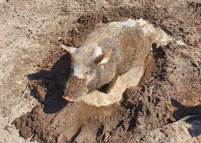 Gnaden- Und Saale Wittgenstein In The Middle Of Gar Nix Apartamento *
