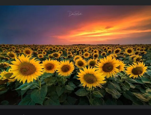 Gnaden- Und Saale Wittgenstein In The Middle Of Gar Nix Bismark