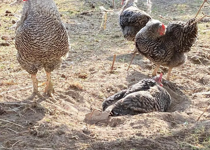 Gnaden- Und Saale Wittgenstein In The Middle Of Gar Nix Bismark