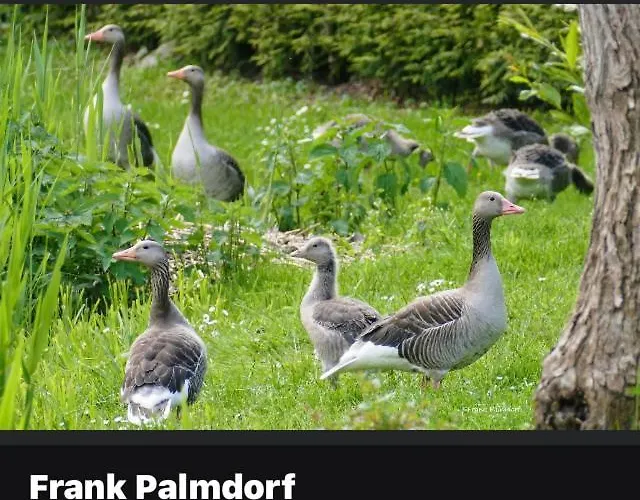 Gnaden- Und Saale Wittgenstein In The Middle Of Gar Nix *