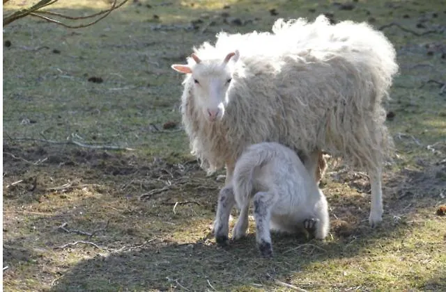 Gnaden- Und Saale Wittgenstein In The Middle Of Gar Nix Apartamento *