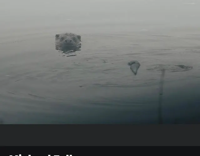 Gnaden- Und Saale Wittgenstein In The Middle Of Gar Nix Apartamento Bismark