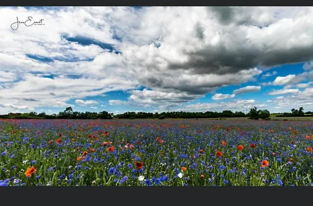 Gnaden- Und Saale Wittgenstein In The Middle Of Gar Nix Bismark