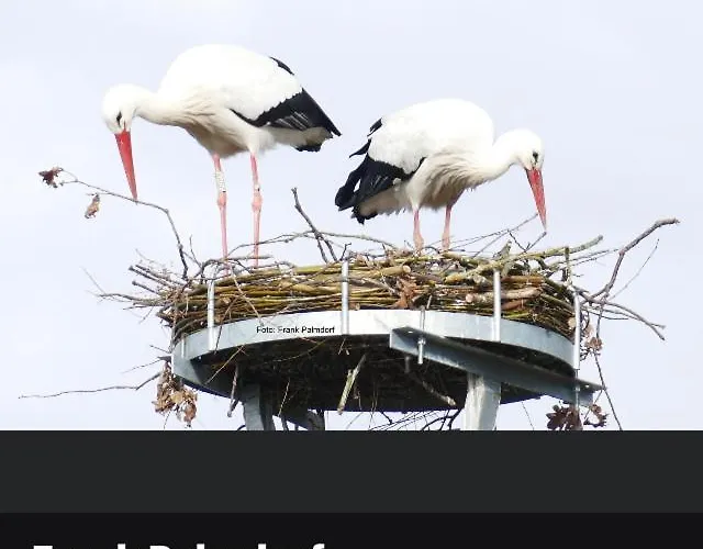 Gnaden- Und Saale Wittgenstein In The Middle Of Gar Nix Apartamento