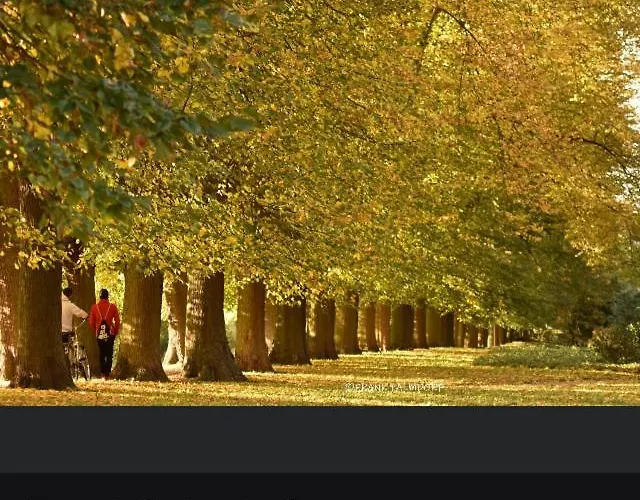 Gnaden- Und Saale Wittgenstein In The Middle Of Gar Nix Bismark