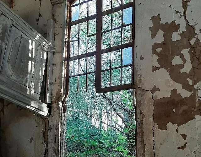 Gnaden- Und Saale Wittgenstein In The Middle Of Gar Nix Apartamento