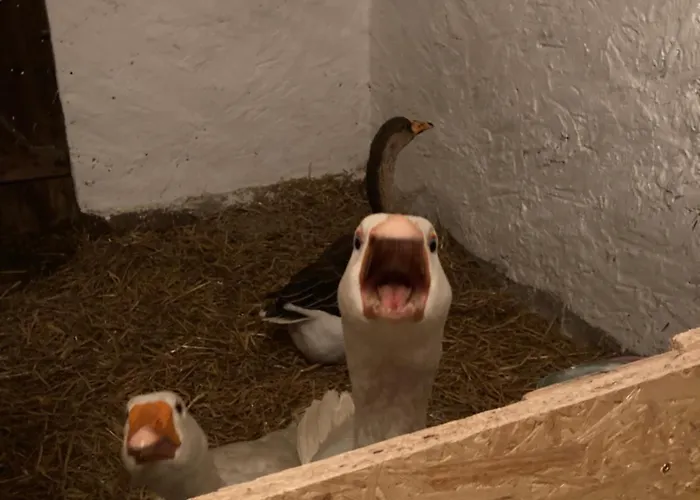 Gnaden- Und Saale Wittgenstein In The Middle Of Gar Nix Bismark