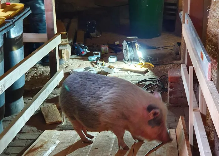 Gnaden- Und Saale Wittgenstein In The Middle Of Gar Nix *