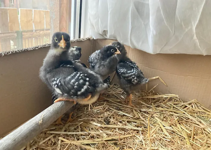 Apartamento Gnaden- Und Saale Wittgenstein In The Middle Of Gar Nix Bismark