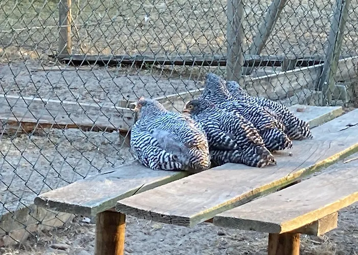 Gnaden- Und Saale Wittgenstein In The Middle Of Gar Nix