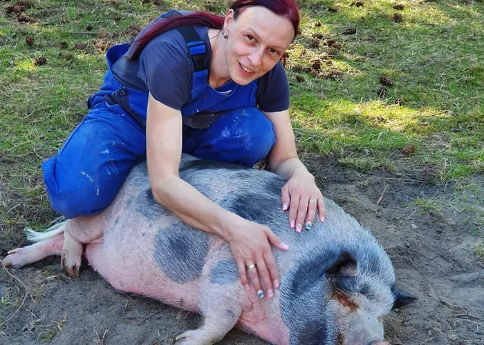 Gnaden- Und Saale Wittgenstein In The Middle Of Gar Nix Apartamento Bismark